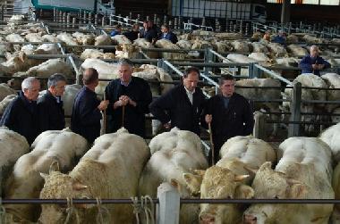 Saint-Christophe-en-Brionnais