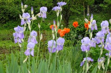 La Tuilerie de Chazelle