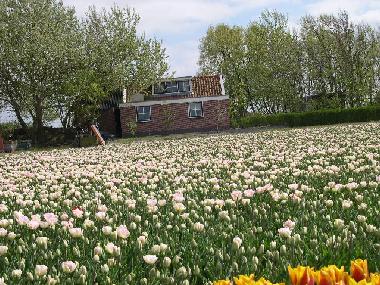 Apartamento de vacaciones en Callantsoog (Noord-Holland)Casa de vacaciones