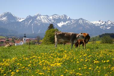 Apartamento de vacaciones en Rieden am Forggensee (Bayerische Schwaben)Casa de vacaciones