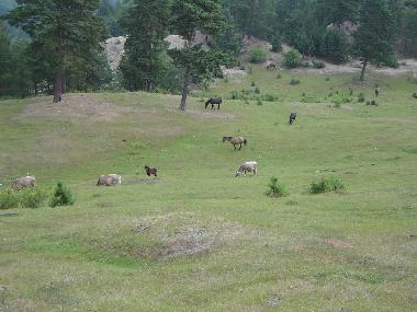 Casa de vacaciones en Bisoca (Buzau)Casa de vacaciones