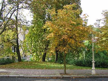 Apartamento de vacaciones en Marienbad (Karlovarsky Kraj)Casa de vacaciones