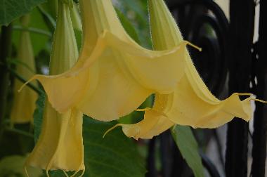 Cama y desayuno en Budapest (Budapest)Casa de vacaciones