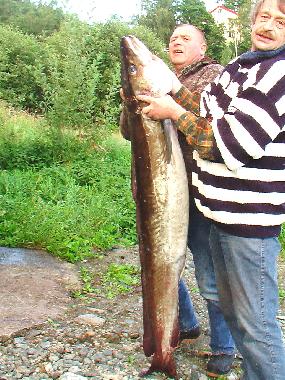 Casa de vacaciones en Inderoy (Nord-Trondelag)Casa de vacaciones