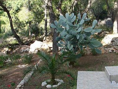 Apartamento de vacaciones en Vis (Splitsko-Dalmatinska)Casa de vacaciones