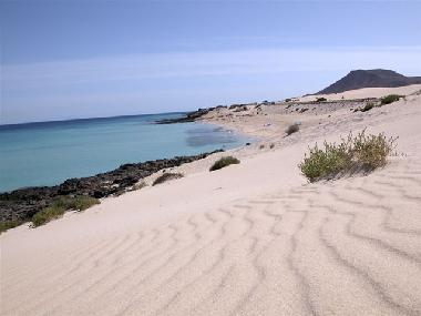 Apartamento de vacaciones en Corralejo (Fuerteventura)Casa de vacaciones