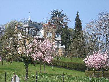 Apartamento de vacaciones en Gossersweiler-Stein bei Landau  (Pfalz)Casa de vacaciones