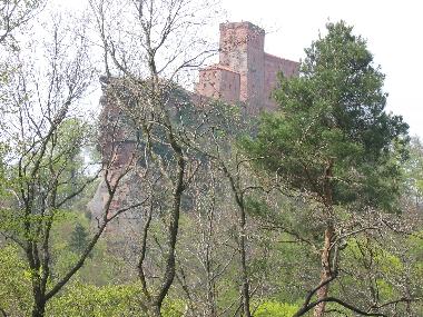 Apartamento de vacaciones en Gossersweiler-Stein bei Landau  (Pfalz)Casa de vacaciones