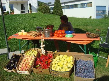 Casa de vacaciones en Podstrana (Splitsko-Dalmatinska)Casa de vacaciones