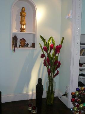 Esquina de Decoracion