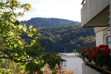 Apartamento de vacaciones en Baden-Baden (Schwarzwald)Casa de vacaciones