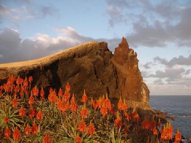 Apartamento de vacaciones en Canico de Baixo (Madeira)Casa de vacaciones