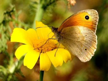 Casa de vacaciones en SYROS (Kyklades)Casa de vacaciones