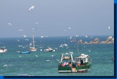 Casa de vacaciones en Plounour-Trez (Finistre)Casa de vacaciones