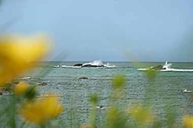 Casa de vacaciones en Plounour-Trez (Finistre)Casa de vacaciones