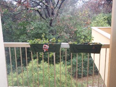 Apartamento de vacaciones en Juan les Pins (Alpes-Maritimes)Casa de vacaciones