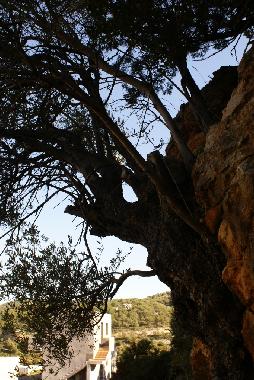 Apartamento de vacaciones en Kritinia (Dodekanisos)Casa de vacaciones