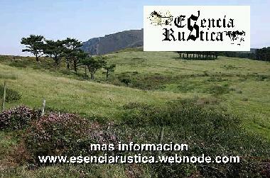 Cama y desayuno en Curtis (A Corua)Casa de vacaciones