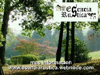 Cama y desayuno en Curtis (A Corua)Casa de vacaciones