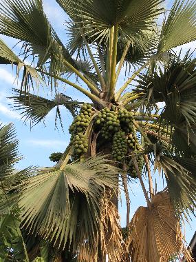 Casa de vacaciones en Muslandsv�g (Rogaland)Casa de vacaciones