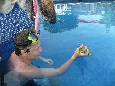 Apartamento de vacaciones en 100.00 (Puntarenas)Casa de vacaciones