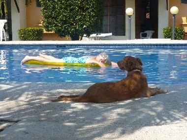 Apartamento de vacaciones en 100.00 (Puntarenas)Casa de vacaciones