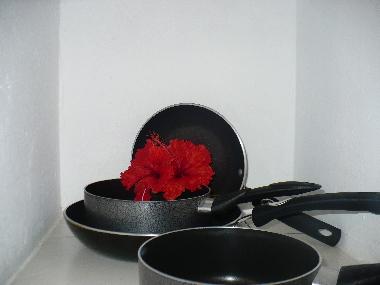 Apartamento de vacaciones en 100.00 (Puntarenas)Casa de vacaciones