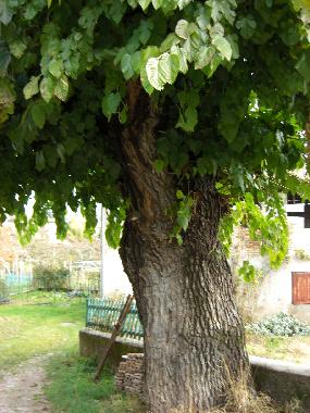 Casa de vacaciones en Terres (Trento)Casa de vacaciones