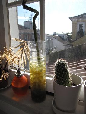 Apartamento de vacaciones en Lisbon (Grande Lisboa)Casa de vacaciones