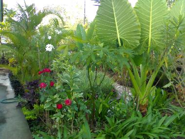 Casa de vacaciones en Nongbualumphu (Nong Bua Lamphu)Casa de vacaciones