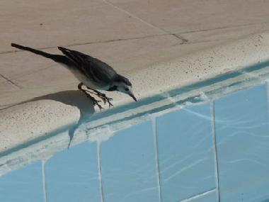 Apartamento de vacaciones en Hurghada (Al Bahr al Ahmar)Casa de vacaciones