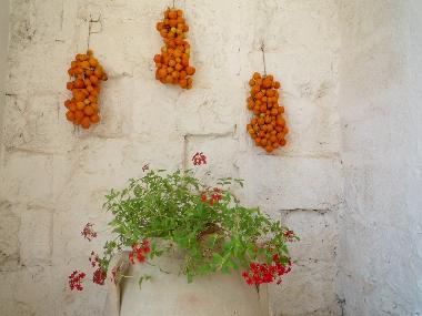 Cama y desayuno en Tricase (Lecce)Casa de vacaciones