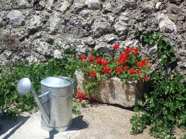 Cama y desayuno en Tricase (Lecce)Casa de vacaciones