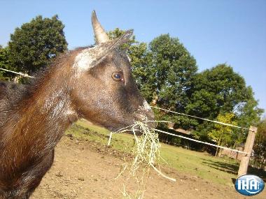 Cama y desayuno en dury (Aisne)Casa de vacaciones