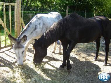 Cama y desayuno en dury (Aisne)Casa de vacaciones