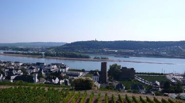 vista desde R�desheim sobre el Rin