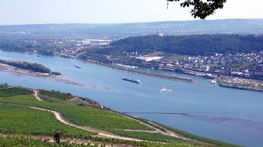 vista sobre la valle del Rin