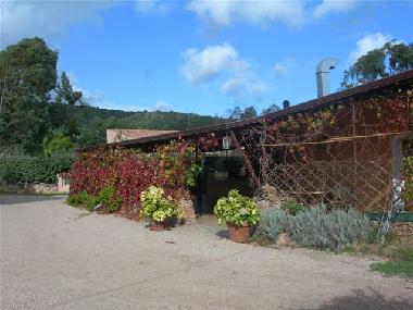Apartamento de vacaciones en Budoni (Nuoro)Casa de vacaciones