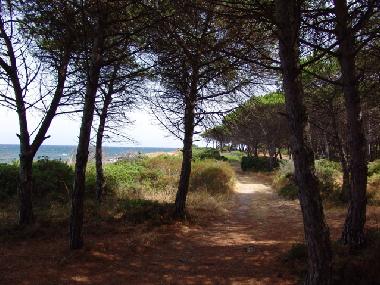 Apartamento de vacaciones en Budoni (Nuoro)Casa de vacaciones