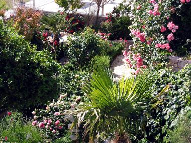 Apartamento de vacaciones en Drasnice (Splitsko-Dalmatinska)Casa de vacaciones