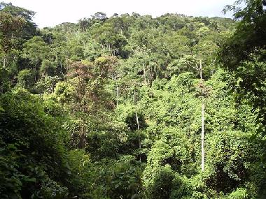 Casa de vacaciones en Rio de Janeiro (Rio de Janeiro)Casa de vacaciones