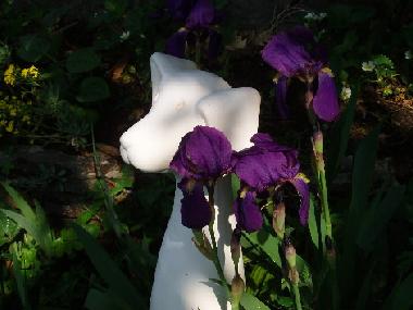 Apartamento de vacaciones en Dorf Tirol  (Bolzano-Bozen)Casa de vacaciones