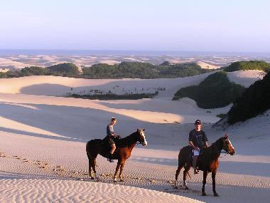 Hotel en Jeffreys Bay (Eastern Cape)Casa de vacaciones