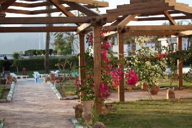 Apartamento de vacaciones en Naama Bay (Shamal Sina