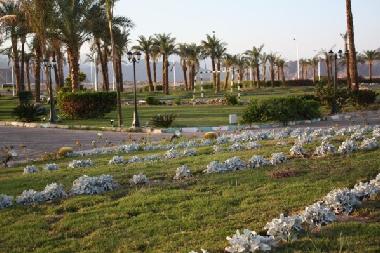 Apartamento de vacaciones en Naama Bay (Shamal Sina
