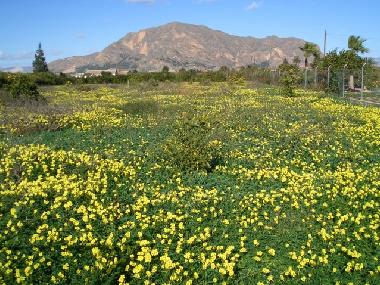 Chalet en La Campaneta (Murcia)Casa de vacaciones