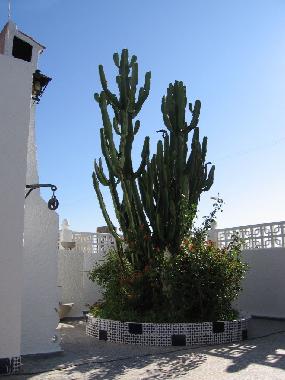 Chalet en La Campaneta (Murcia)Casa de vacaciones