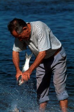 Casa de vacaciones en Florian�polis (Santa Catarina)Casa de vacaciones