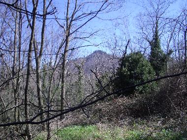 Apartamento de vacaciones en Viterbo (Viterbo)Casa de vacaciones