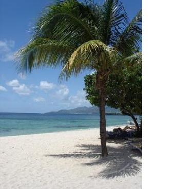 Apartamento de vacaciones en Valldemossa (Mallorca)Casa de vacaciones